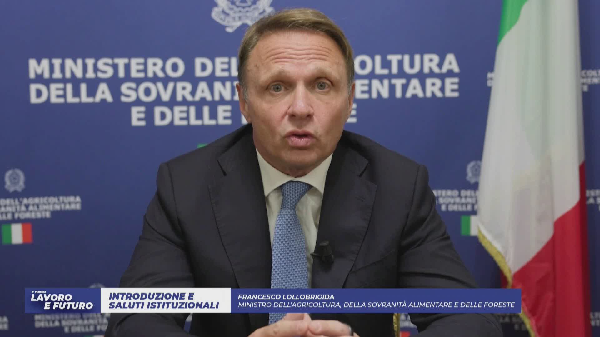 Primo Forum 'Lavoro e futuro', ministro Lollobrigida: “Agricoltura protagonista del futuro, in Liguria un esempio con le olive taggiasche IGP”