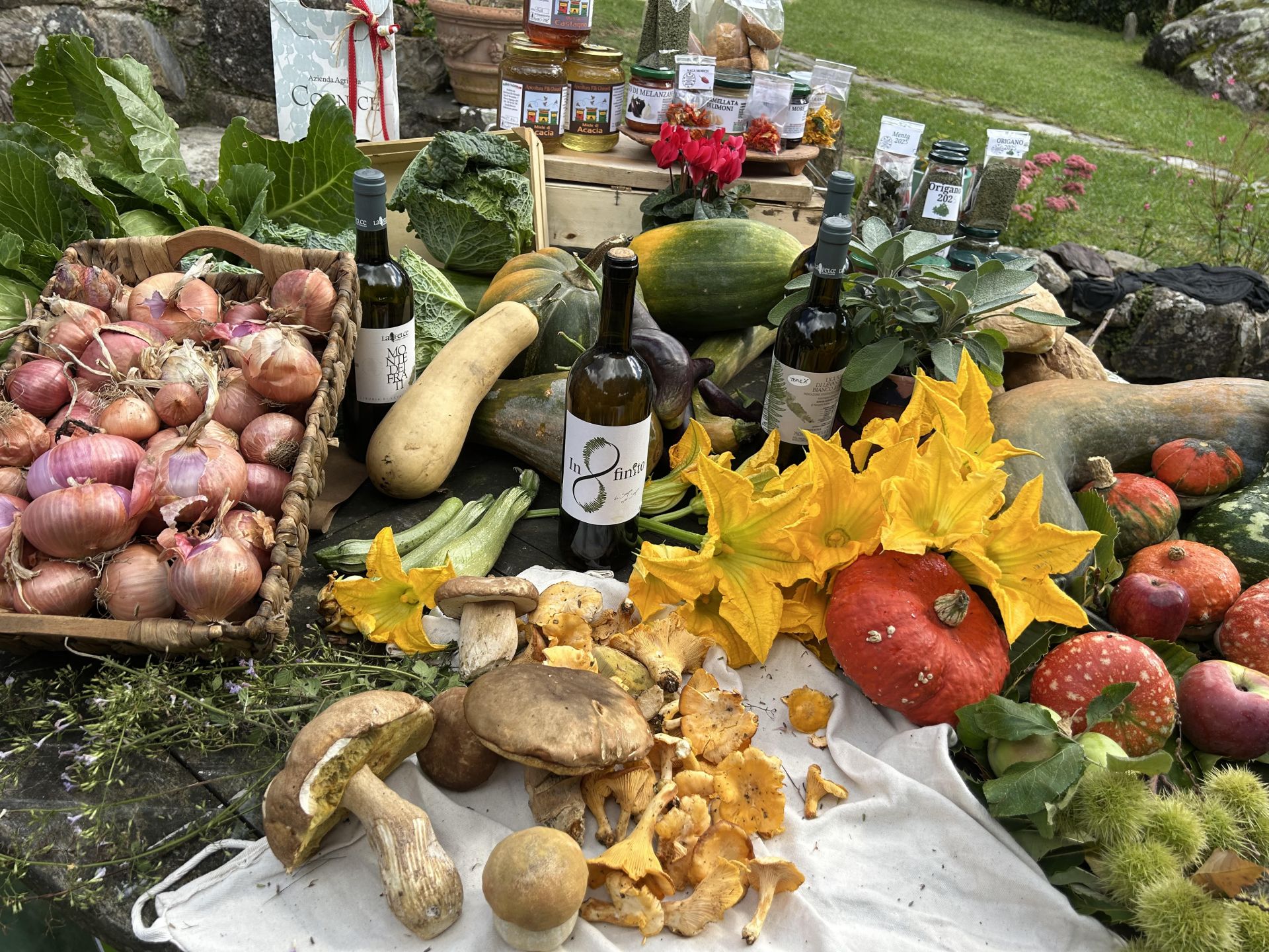 Benvenuti in Liguria alla scoperta di Zignago, Rocchetta di Vara e Calice al Cornoviglio 