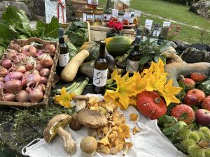 Benvenuti in Liguria alla scoperta di Zignago, Rocchetta di Vara e Calice al Cornoviglio 