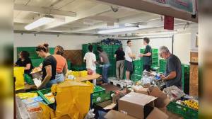 Da Genova parte la nave di Music for Peace con aiuti umanitari per Gaza: appello per il sostegno e la trasparenza