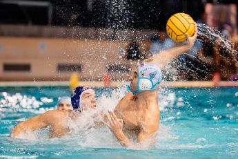 Pro Recco, tour de force alla Sciorba: Posillipo in campionato, martedì esordio in Champions League