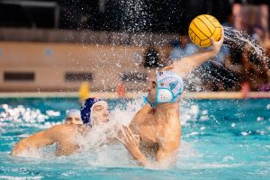 Pro Recco, tour de force alla Sciorba: Posillipo in campionato, martedì esordio in Champions League