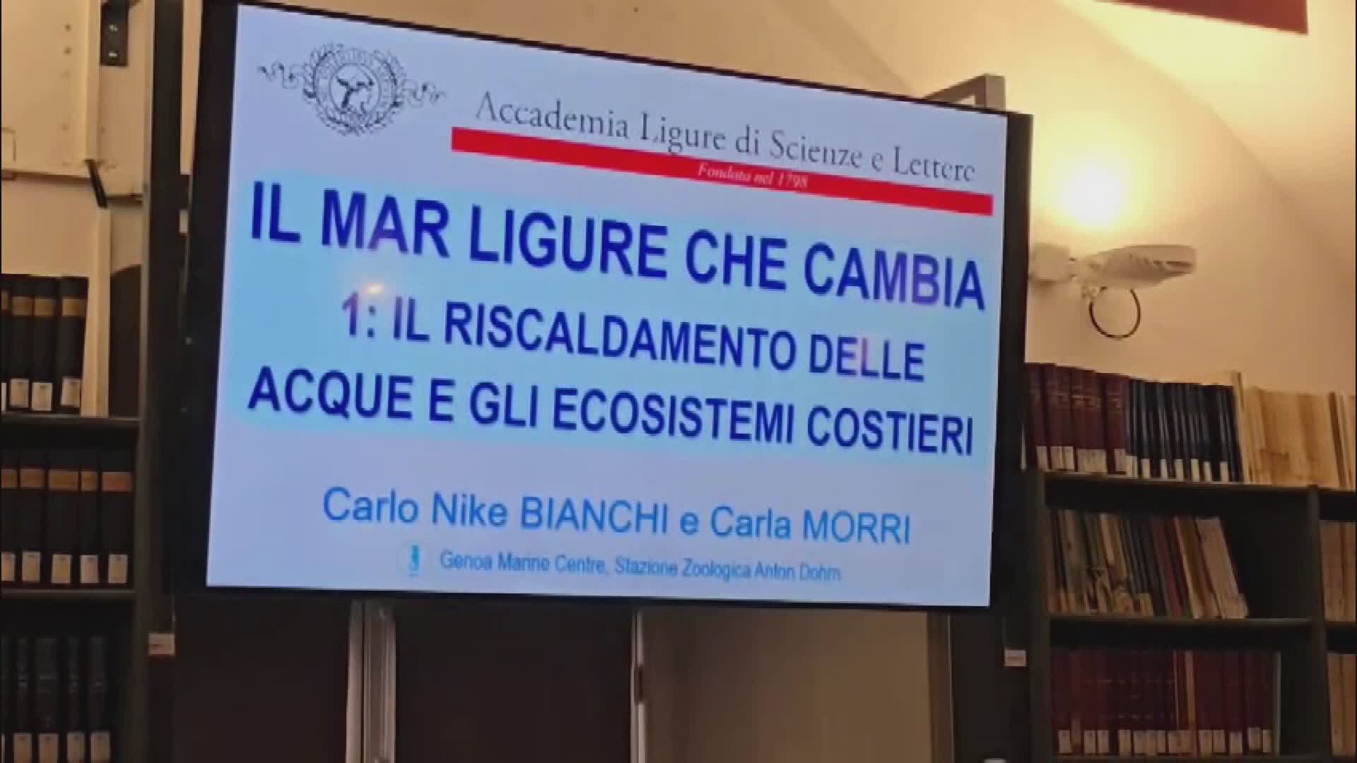 Il Mar Ligure che cambia, riscaldamento delle acque ed ecosistemi costieri: il convegno al Ducale