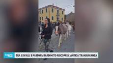 Tra cavalli e pastori: Bardineto riscopre l’antica transumanza