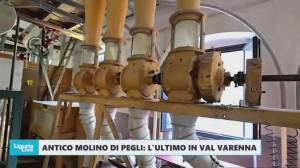 Telenord alla scoperta dell'ultimo mulino pegliese in val Varenna