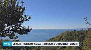 Telenord alla scoperta dell'agricoltura a Vesima: verdure fresche ogni martedì e venerdì