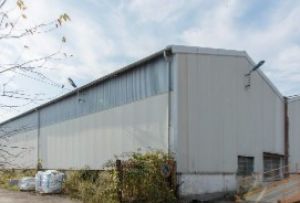 Porto Marghera, nuovo magazzino di 2000 mq di SDC Servizio Doganale Containers nell’area ex MonteSyndial