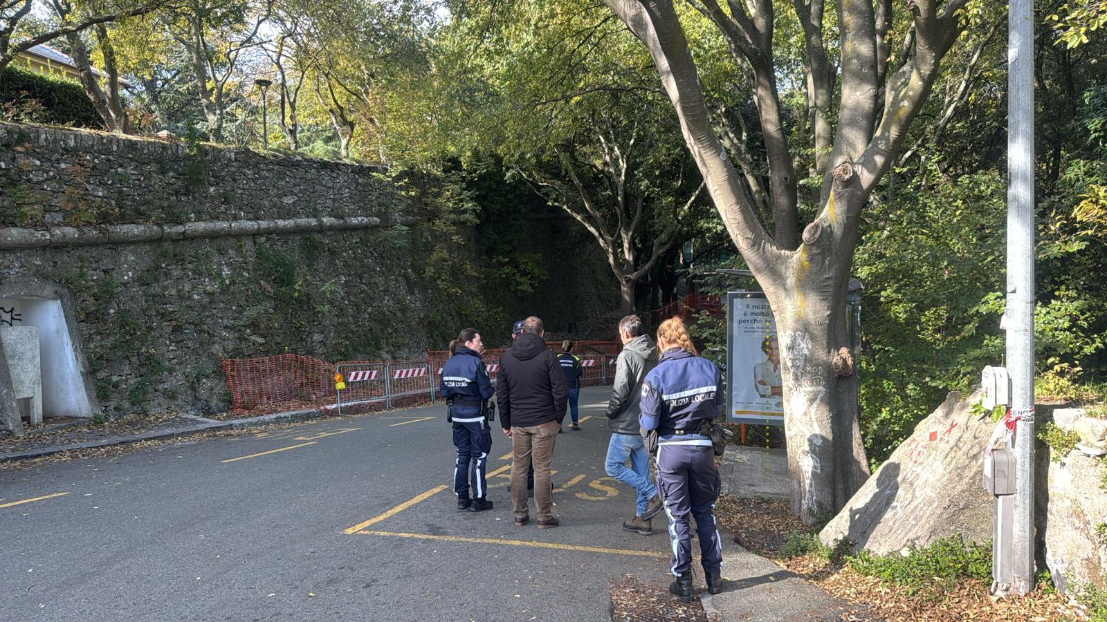 Parco delle Mura, cittadini contro il taglio degli alberi: “Non sono pericolanti, fermatevi”