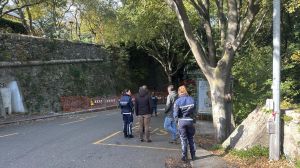 Parco delle Mura, cittadini contro il taglio degli alberi: “Non sono pericolanti, fermatevi”