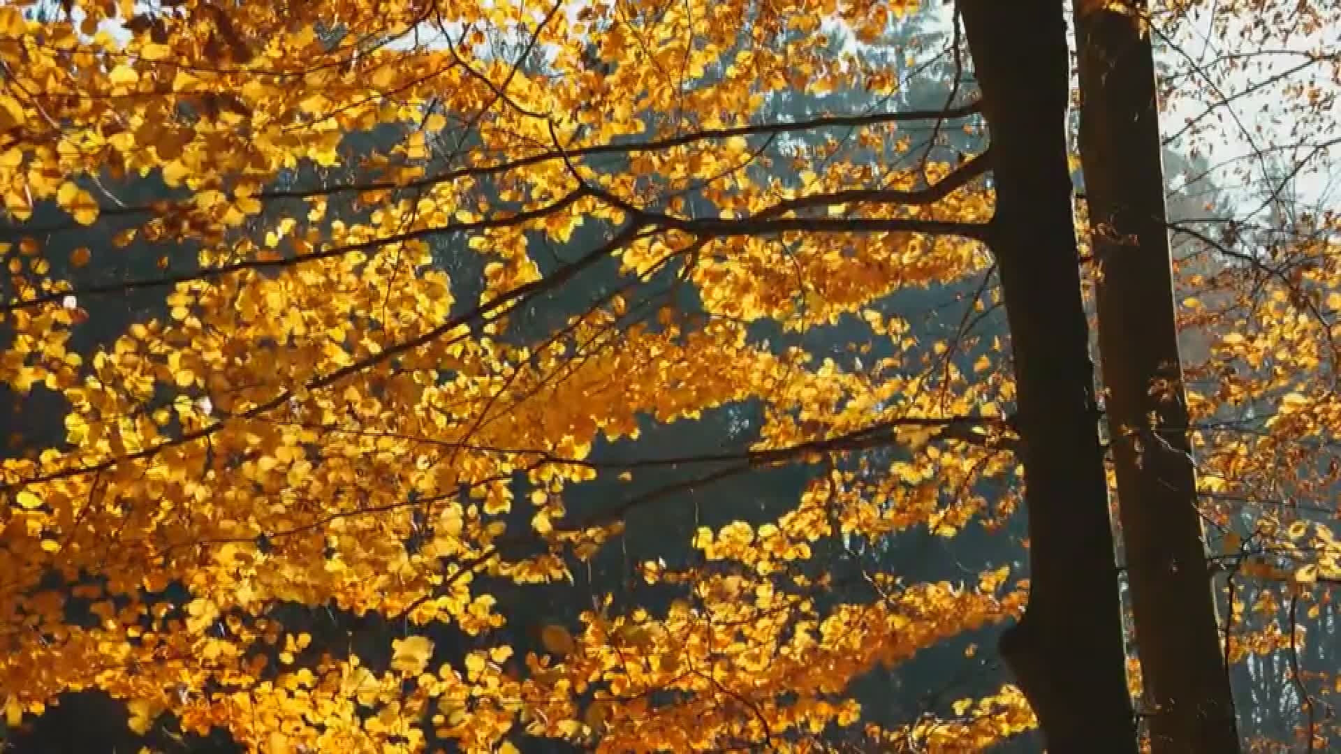 Italia, è arrivata l'estate di San Martino, in montagna fino a 10 gradi oltre la media