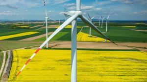 Green Economy in crescita: in Italia oltre un’impresa su tre investe nella sostenibilità