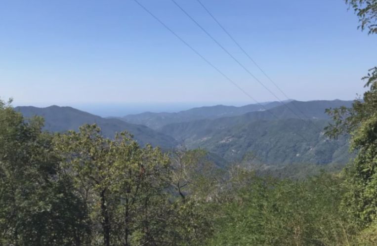 Genova: si nasconde per tre mesi nei boschi per sfuggire all’arresto