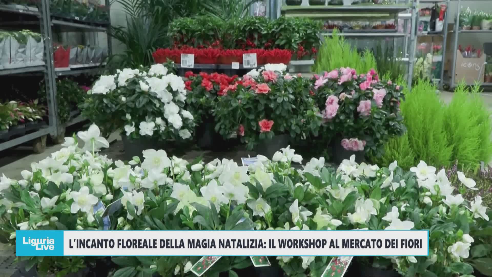 Natale in fiore: un 'cantiere' artigianale tra colori e magia