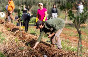 Brindisi, aperte le iscrizioni alla Scuola di Agroecologia per Agricoltori di prossimità