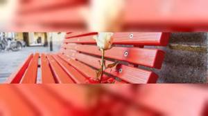 Giornata contro la violenza sulle donne, le iniziative di Asl 3