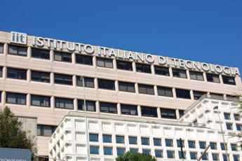 Nuovo mix di microRNA in grado di indebolire i tumori al cervello: ricercatori genovesi in prima linea