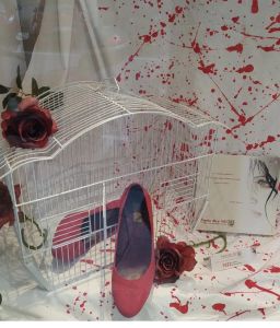 Savona: violenza contro le donne, la battaglia di sensibilizzazione passa anche dalle vetrine dei negozi