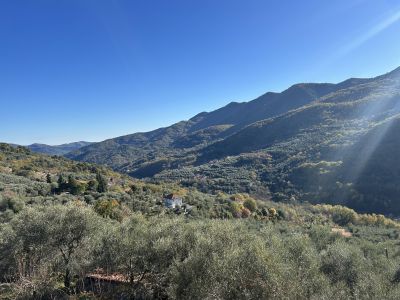 Stellanello: quando nei paesi non si nasceva con ginecologo e ostetrica, ma con il macellaio 