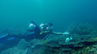 Nemo’s Garden conquista i telespettatori: il giardino subacqueo ecosostenibile protagonista della docuserie “Choose Earth”