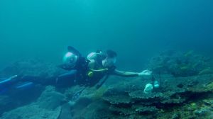 Nemo’s Garden conquista i telespettatori: il giardino subacqueo ecosostenibile protagonista della docuserie “Choose Earth”