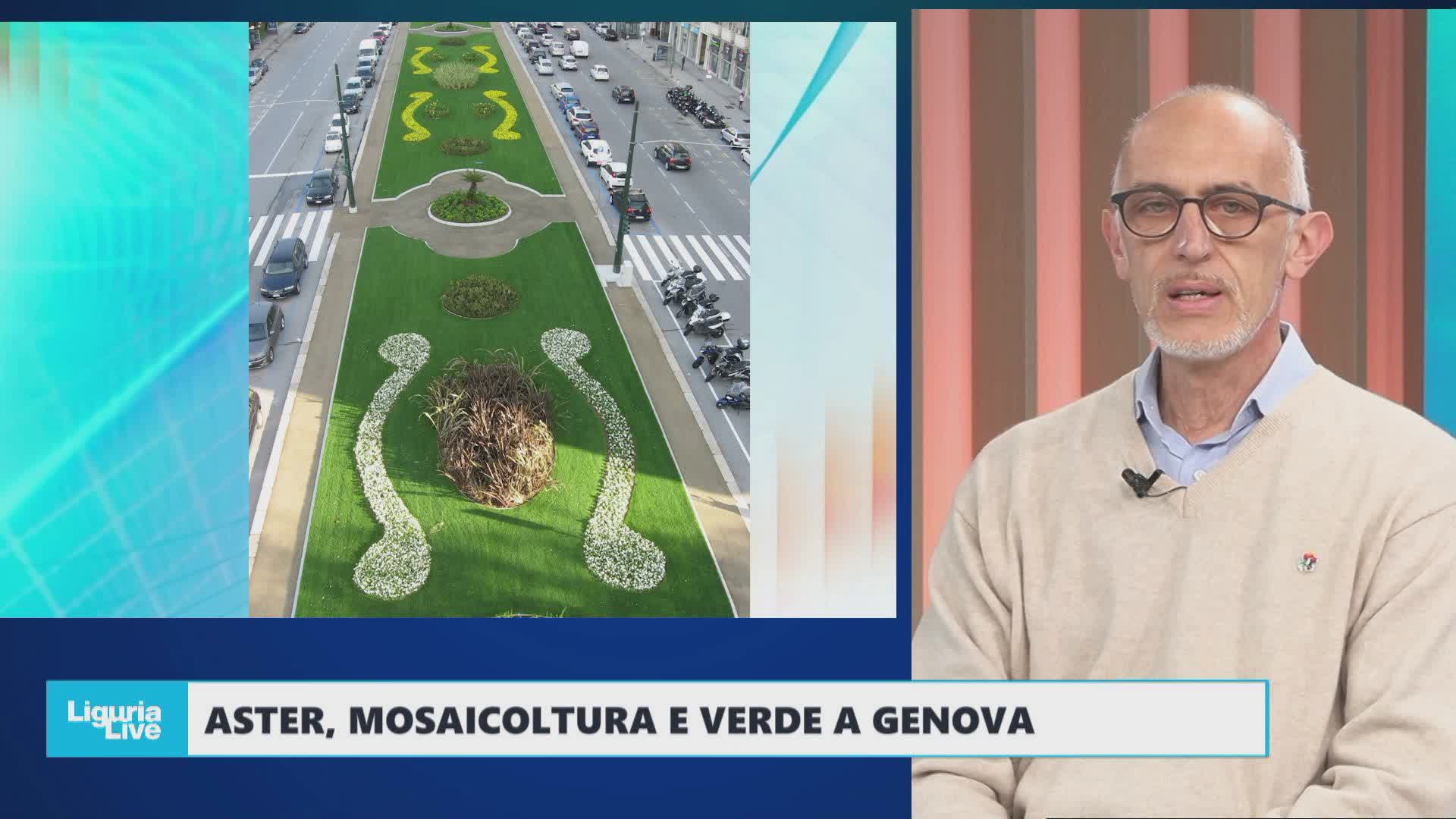 ASTER, Mosaicoltura e Verde a Genova: innovazione e creatività nel verde urbano