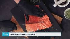 Intossicati a Genova, Paolo Piccolo (Just Balilla): "Controlli di Asl fino a tarda sera nei nostri frigoriferi, non è emerso nulla"