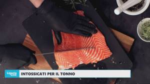 Intossicati a Genova, Paolo Piccolo (Just Balilla): "Controlli di Asl fino a tarda sera nei nostri frigoriferi, non è emerso nulla"