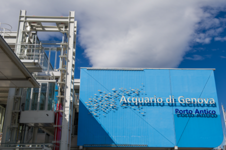Genova: all'Acquario nuova vasca per conoscere i segreti dei fondali profondi mediterranei