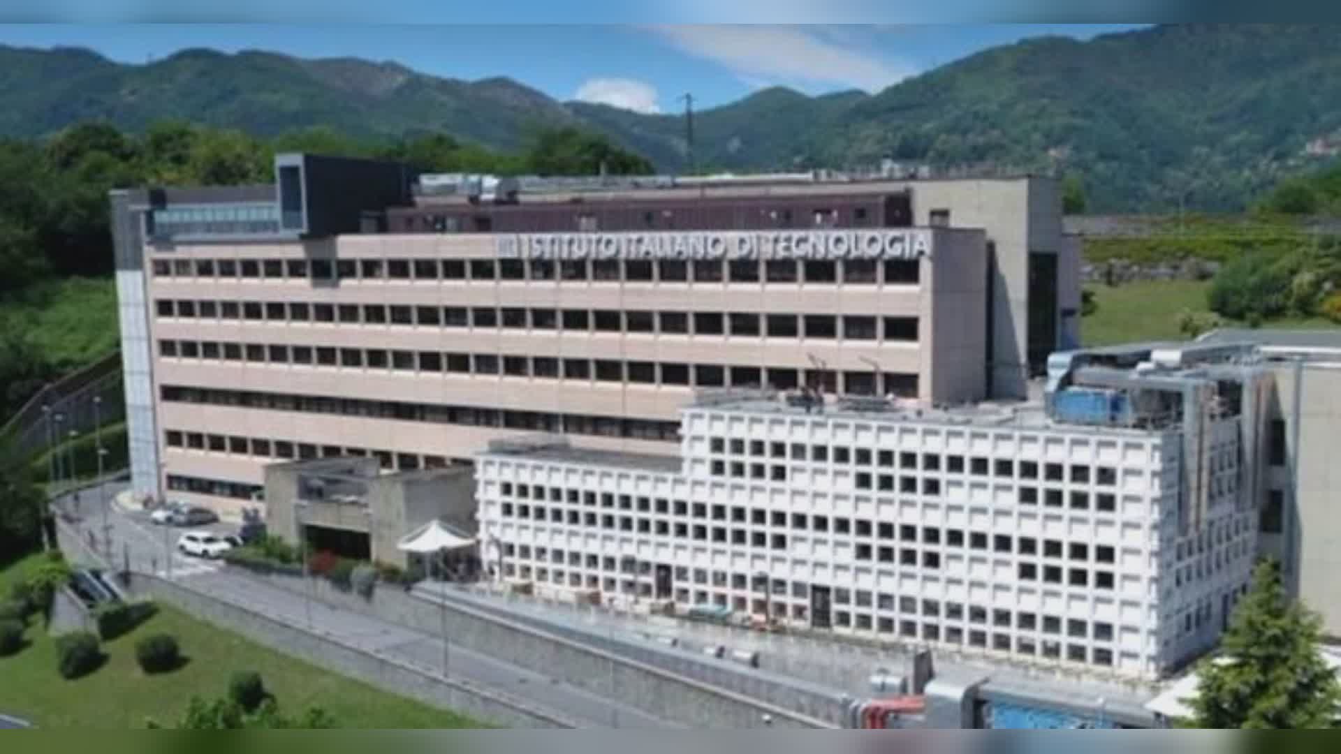 Tumore al pancreas, nuovo molecola a RNA per potenziare le terapie individuata da IIT