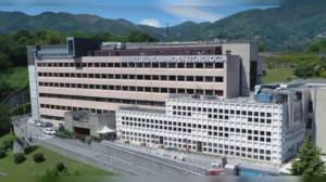 Tumore al pancreas, nuovo molecola a RNA per potenziare le terapie individuata da IIT