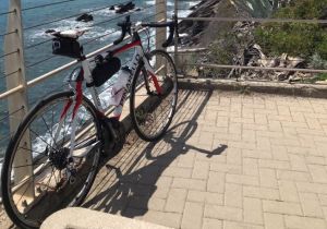 Palermo: con MUV la mobilità sostenibile diventa un gioco