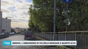 Genova, l'abbandono di via delle Genziane a Quarto alta