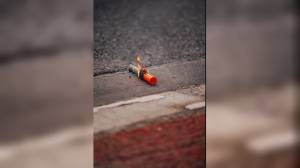 Genova, artifici pirotecnici e botti vietati nelle feste. A Capodanno proibita anche la detenzione