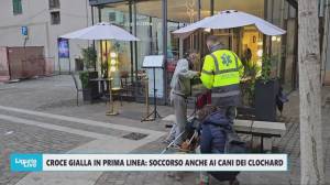 Croce Gialla in prima linea: soccorso anche ai cani dei clochard