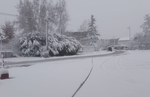 Maltempo in Liguria, allerta gialla per neve lunedì 2 nel pomeriggio su entroterra Ponente imperiese e savonese