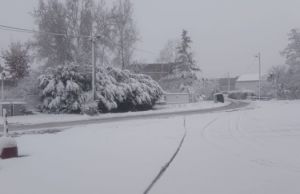 Maltempo in Liguria, allerta gialla per neve lunedì 2 nel pomeriggio su entroterra Ponente imperiese e savonese