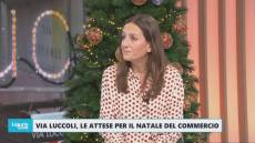 Via Luccoli, le attese per il Natale del commercio