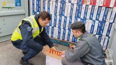 Genova: Agenzia dogane e Gdf sequestrano in porto 85mila confezioni di noodles, contenevano proteine animali vietate