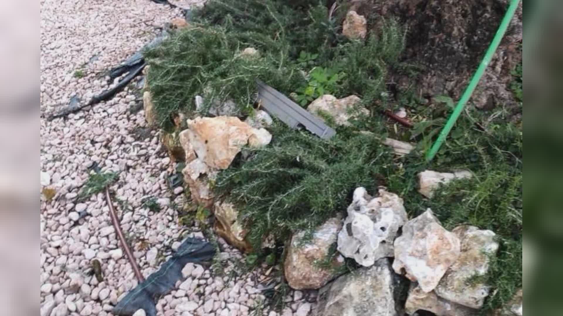 Recco, ripristinata l’illuminazione della passeggiata a mare dopo atti vandalici