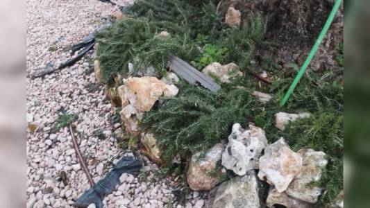 Recco, ripristinata l’illuminazione della passeggiata a mare dopo atti vandalici