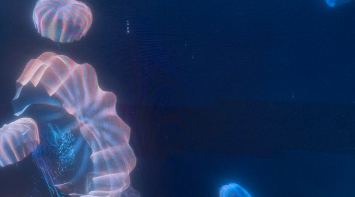 Il tour di Moby Dick: incontri a Milano, Torino e nelle biblioteche di Genova