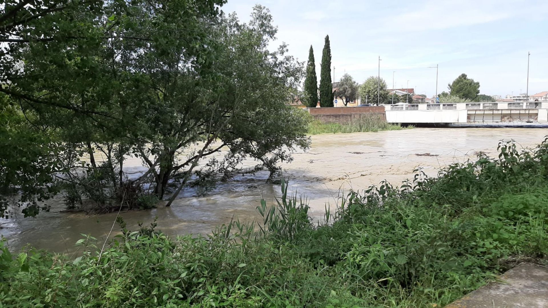 Verde urbano, nei Comuni meno interventi sui greti: cala l’attività ambientale