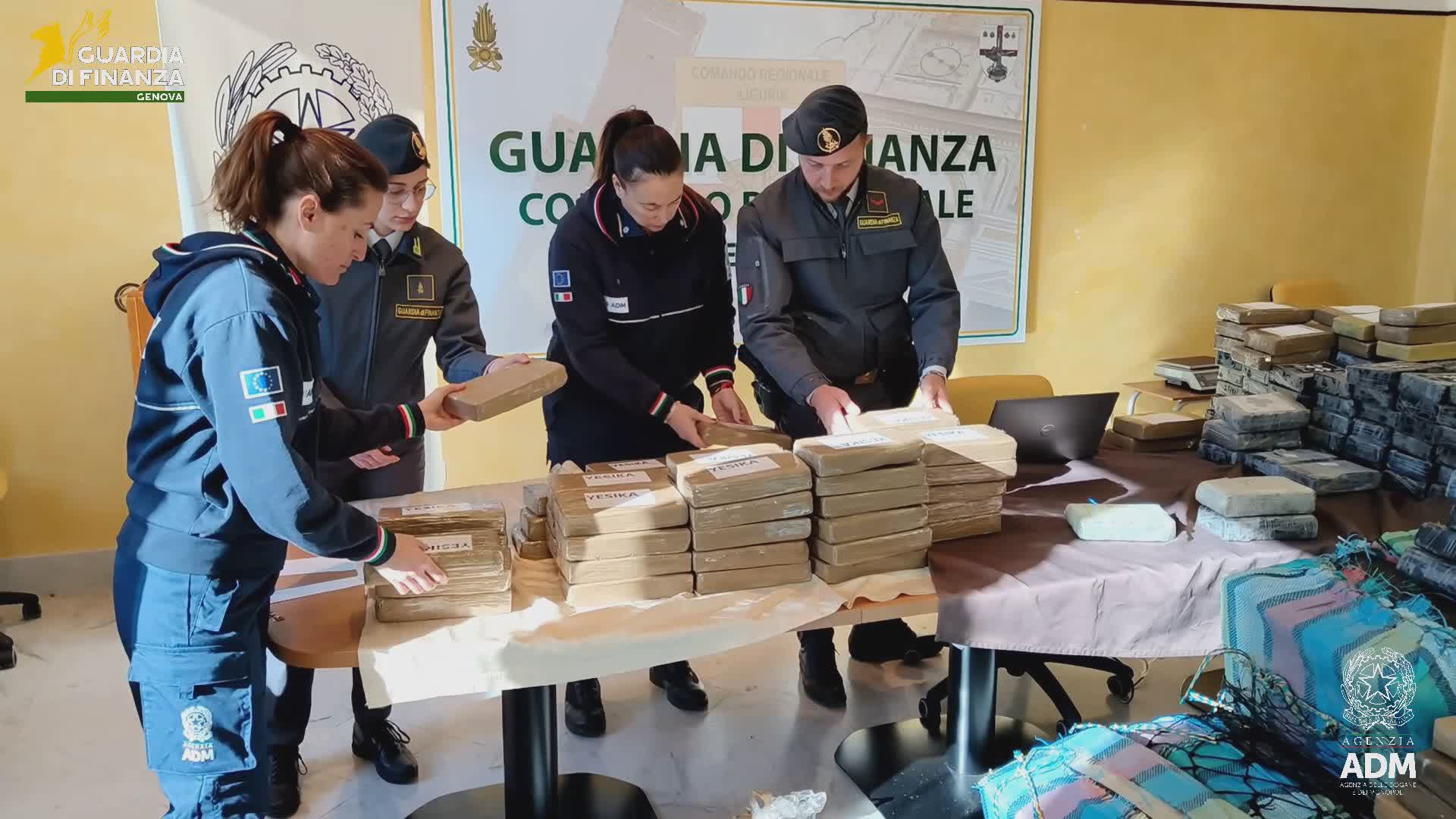 Genova, maxisequestro di droga in porto: 2 tonnellate di cocaina purissima intercettate da GdF e Dogane, valore di 1,5 miliardi di euro