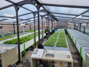 Agricoltura sostenibile, studenti a lezione nella serra idroponica