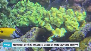 Acquario e Città dei Ragazzi: il bilancio di un 2025 con il vento in poppa
