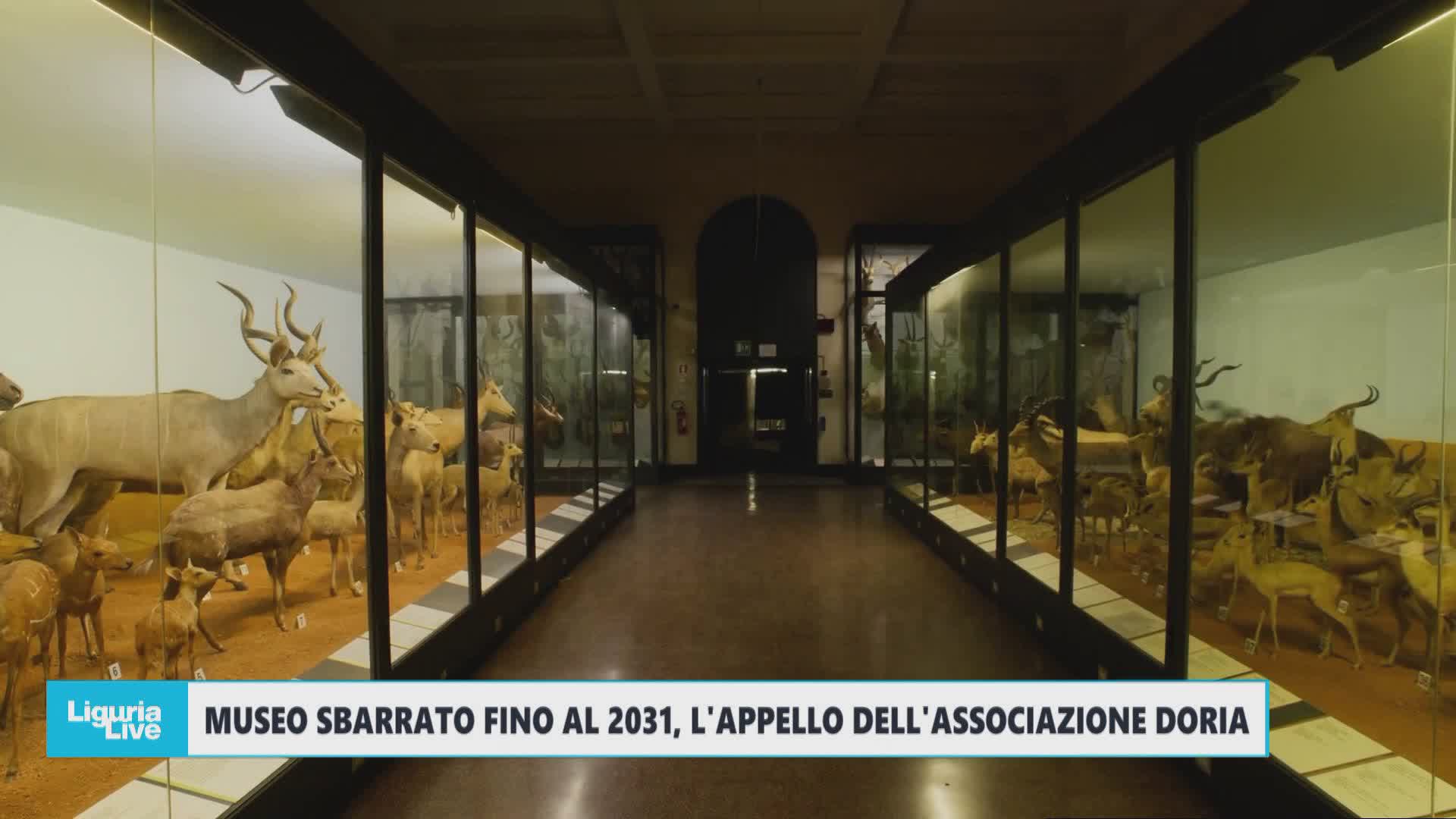 Chiusura Museo Doria a Genova, Carla Olivari:" Ci aspettavamo lavori, ma non così lunghi. Erano in programma molte mostre"
