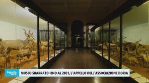 Chiusura Museo Doria a Genova, Carla Olivari:" Ci aspettavamo lavori, ma non così lunghi. Erano in programma molte mostre"