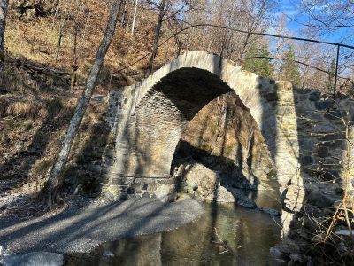 Rovegno, la provocazione del sindaco Isola a Telenord: "Faremo nascere piantagioni di caffè in paese"