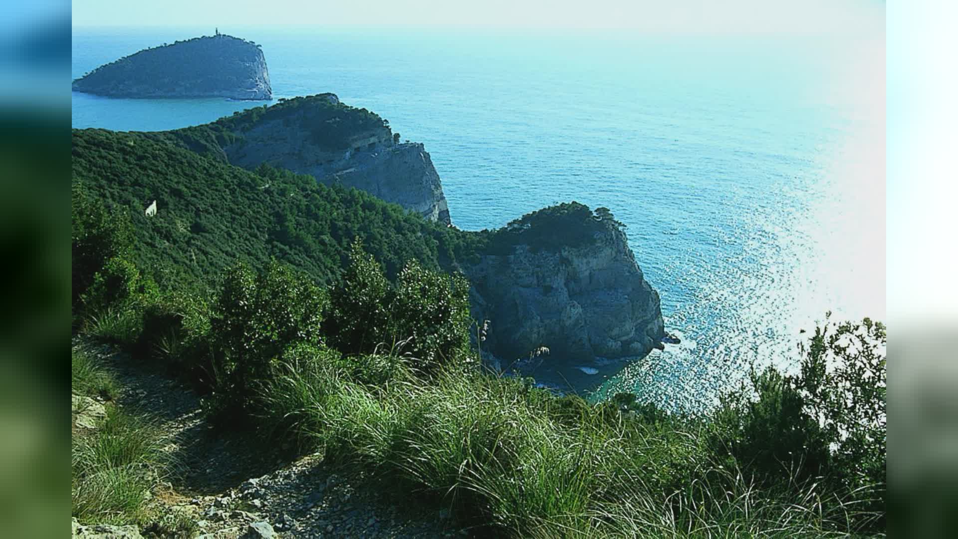 Borse di studio per studenti di piccole isole