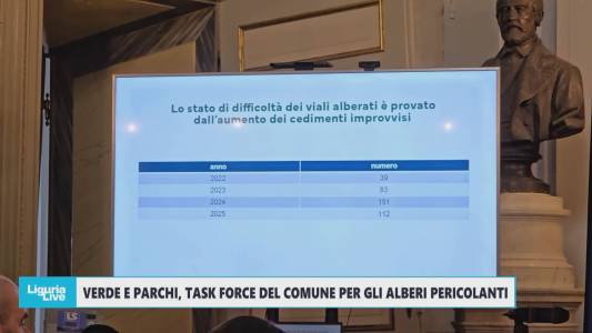 Genova, verde e parchi: task force del Comune per gli alberi pericolanti